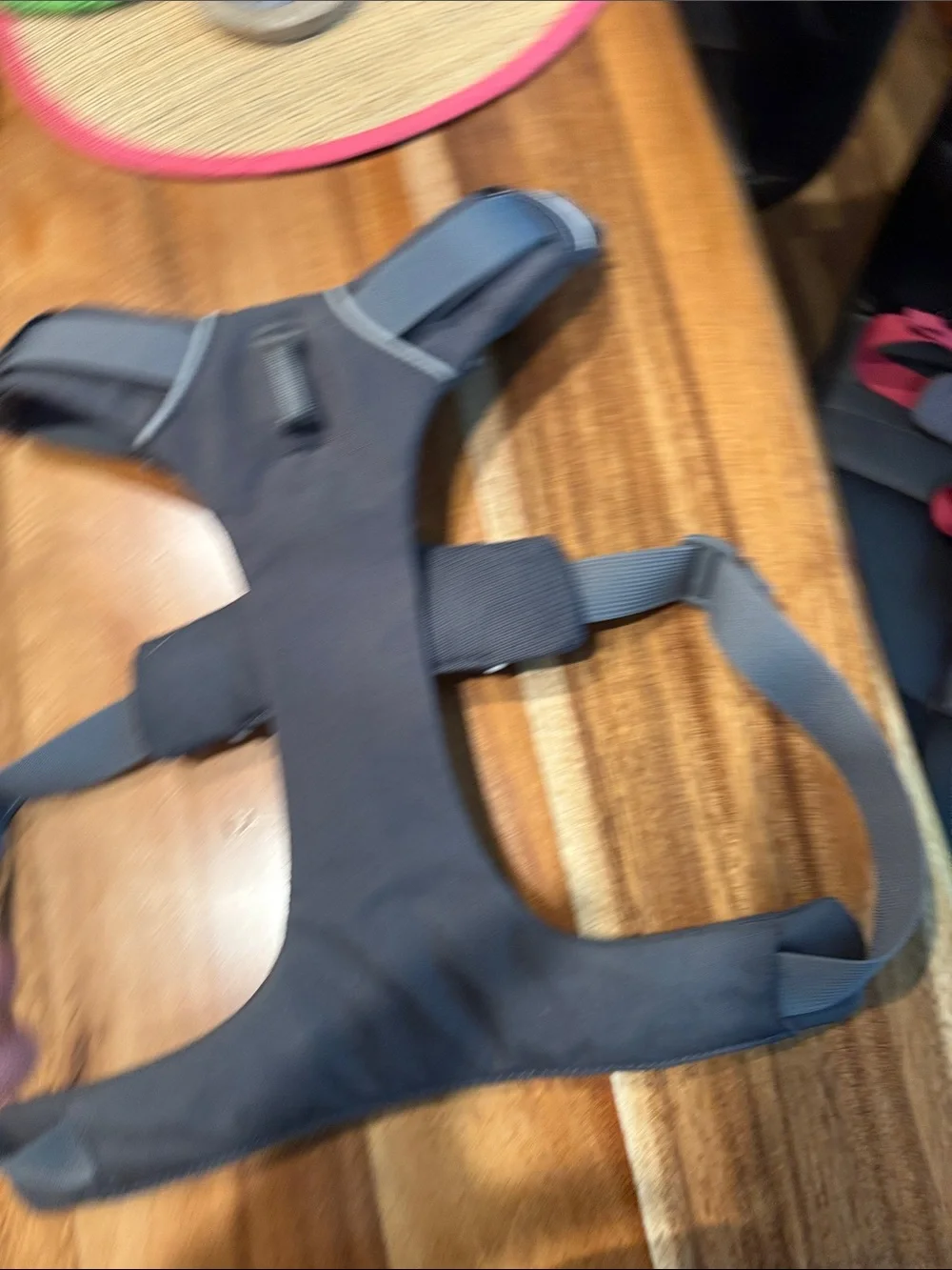RuffWear everyday padded